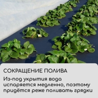 Материал мульчирующий, 5 &times; 1.6 м, плотность 60 г/м&sup2;, спанбонд с УФ-стабилизатором, чёрный, Greengo, Эконом 30%