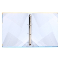 Папка школьная на кольцах &laquo;Портфолио ученика&raquo;, без разделителей, 24,5 х 32 см.