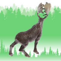 Набор животных «Лесные звери», 4 фигурки Набор животных «Лесные звери», 4 фигурки