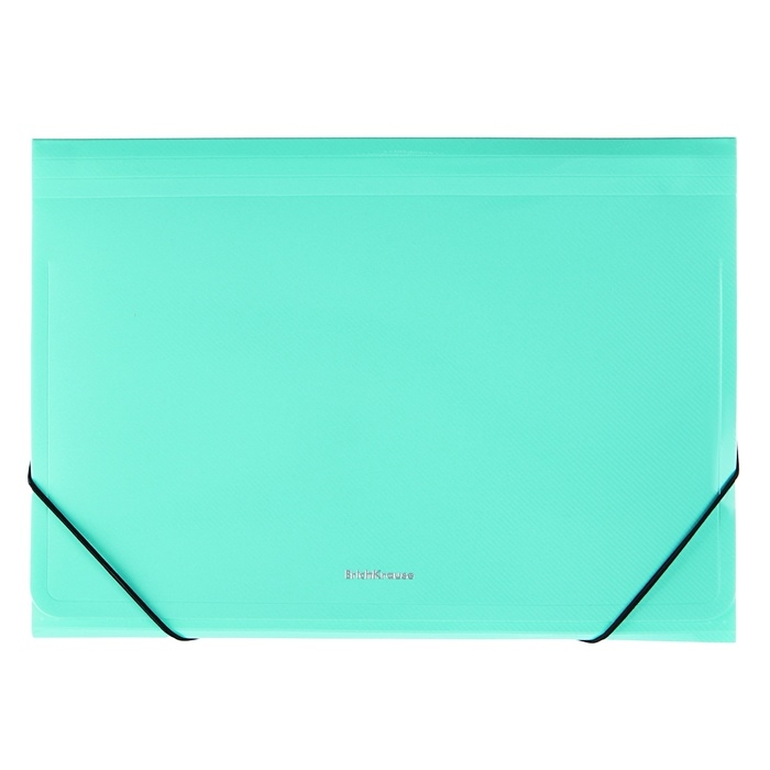 Папка-картотека, А4, 12 отделений, 600 мкм, ErichKrause "Diagonal Pastel", на резинке, тиснение, микс