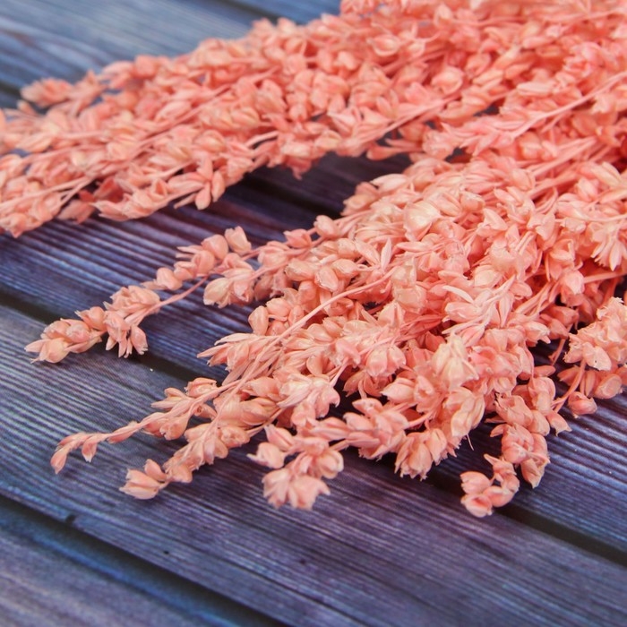 Сухие цветы сорги, 5 г, цвет розовый Сухие цветы сорги, 5 г, цвет розовый