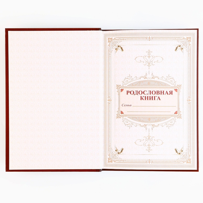Родословная новогодняя книга с пером в шкатулке &laquo;Новый год: Каждый день&raquo;, 26 х 8 х 27 см, набор