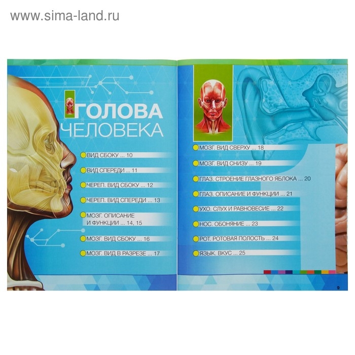 Энциклопедия 4D в дополненной реальности «Анатомия: органы человека» Энциклопедия 4D в дополненной реальности «Анатомия: органы человека»