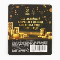 Кошельковый талисман новогодний «Новый год: Удачи и богатства», фигурка, 7 х 10 см, Кошельковый талисман новогодний «Новый год: Удачи и богатства», фигурка, 7 х 10 см,