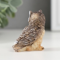 Сувенир полистоун "Серая сова" МИКС 2,3х4,3х4,5 см