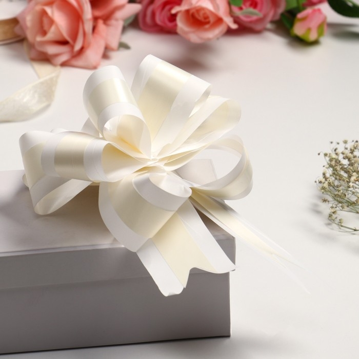 Бант-шар №5 Бант-шар №5