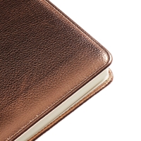 Ежедневник недатированный, обложка ПВХ, формат А5, 140 л, клетка, металлик Бронза Ежедневник недатированный, обложка ПВХ, формат А5, 140 л, клетка, металлик Бронза