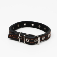 Ошейник кожаный на синтепоне, безразмерный, 37 х 1.5 см, ОШ 21-31 см, чёрный Ошейник кожаный на синтепоне, безразмерный, 37 х 1.5 см, ОШ 21-31 см, чёрный