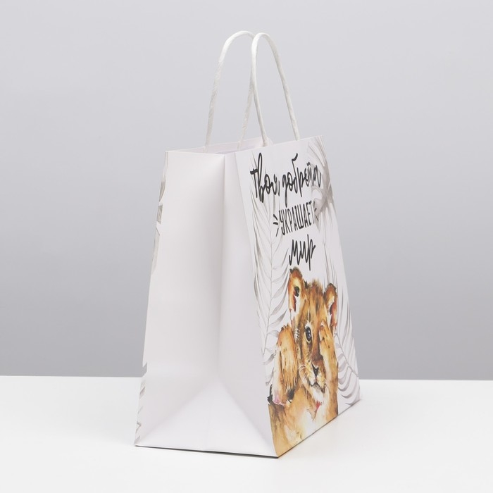 Пакет подарочный, упаковка, &laquo;Доброта&raquo;, 22 х 22 х 11 см