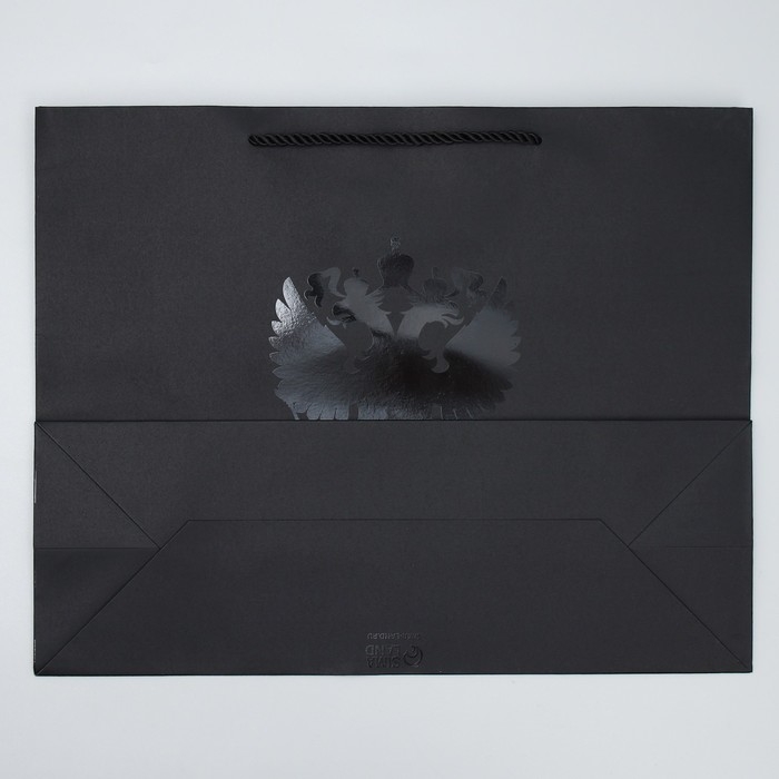 Пакет подарочный, упаковка, &laquo;Россия&raquo;, L 38 х 29 х 13 см