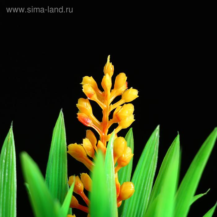 Растение искусственное Растение искусственное