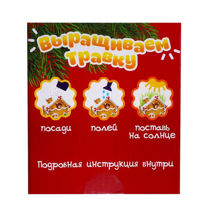 Набор для опытов &laquo;Выращиваем травку: Домик&raquo;, с семенами