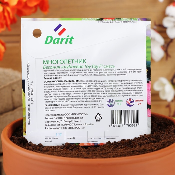 Семена цветов Бегония Семена цветов Бегония "Гоу-гоу", 6 шт.