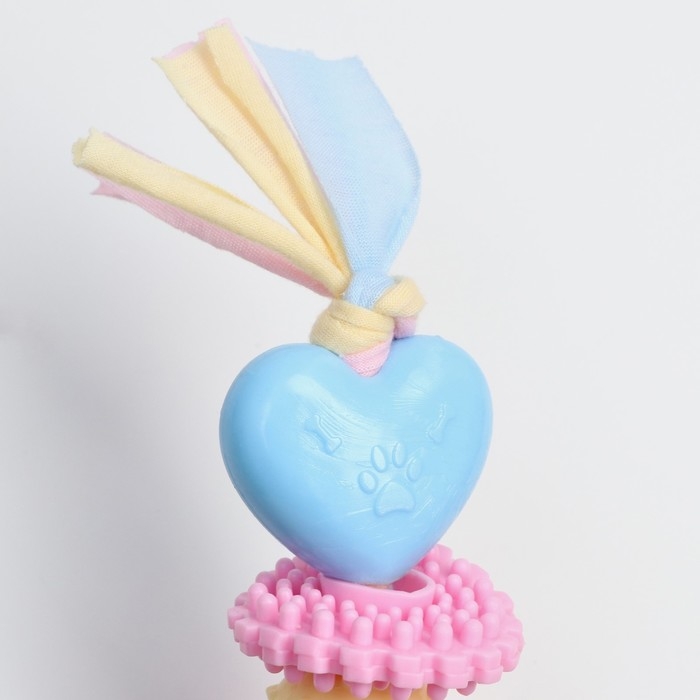 Игрушка жевательная Пижон Premium на верёвке, 5 элементов, термопластичная резина, микс Игрушка жевательная Пижон Premium на верёвке, 5 элементов, термопластичная резина, микс