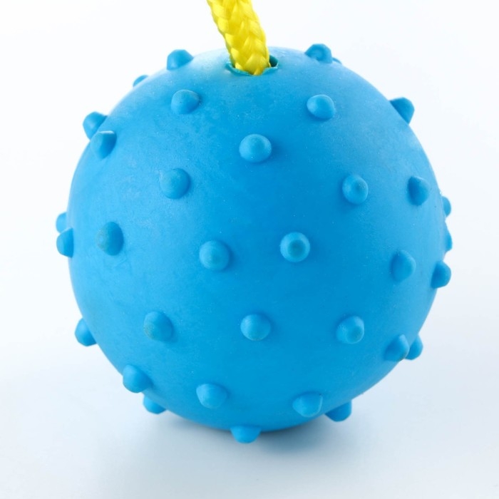 Игрушка мяч на веревке, 6 см, синяя Игрушка мяч на веревке, 6 см, синяя