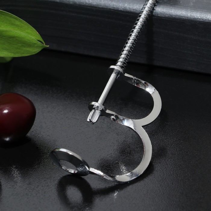 Удалитель косточек Доляна &laquo;Любитель&raquo;, 12,5 см, цвет серебряный