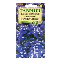 Семена цветов Лимониум "Темно-синий", ц/п,  0,1 г