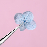 Сухоцветы для декора ногтей &laquo;Нежность&raquo;, объёмные, 12 видов, в футляре, разноцветные