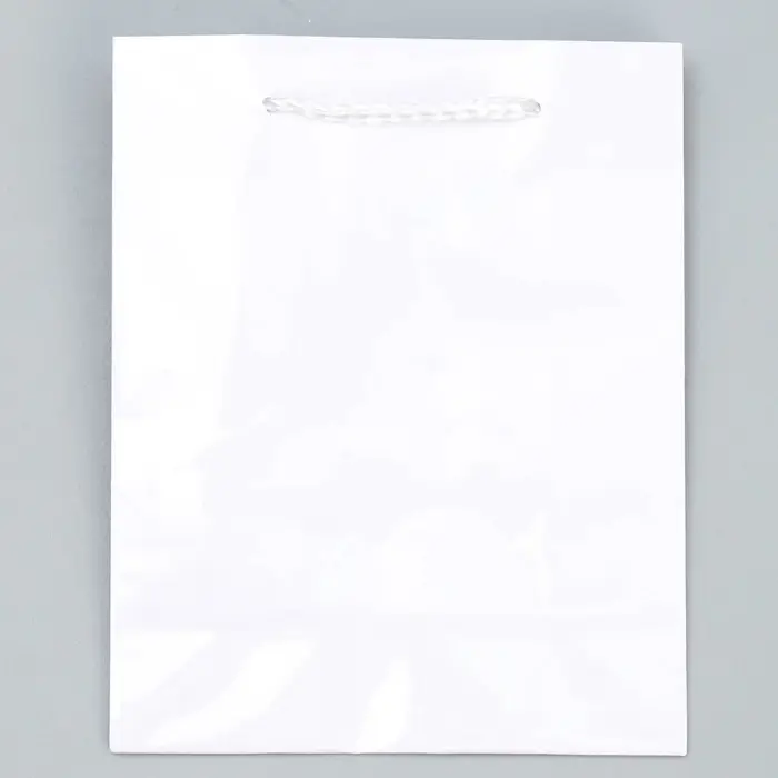 Пакет подарочный ламинированный, упаковка, &laquo;Белый&raquo;, S 12 х 15 х 5.5 см