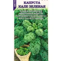 Семена Капуста Кале зелёная листовая /Сотка/ 0,3г/ выс. 60-80см/*1200