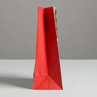 Пакет без ручек &laquo;Счастья в Новом Году&raquo;, 10 х 19.3 х 7 см