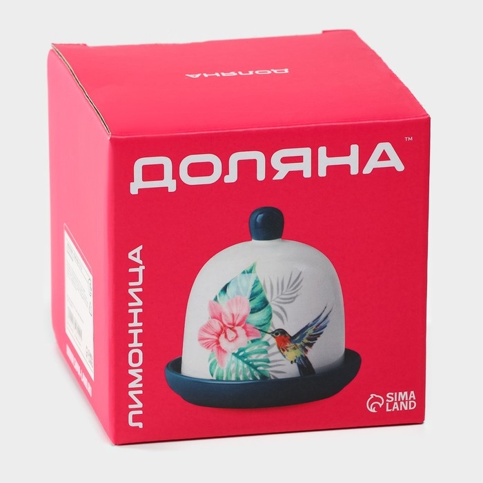 Лимонница Доляна &laquo;Лаванда&raquo;, 9&times;9 см, цвет белый