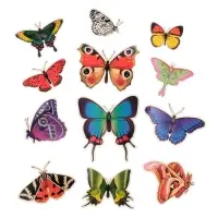 Набор магнитов на холодильник &laquo;Натуральные&raquo;, 12 шт., картон, h=4-10 см