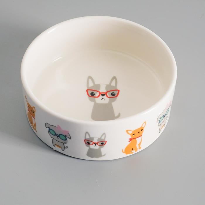 Миска керамическая "Важный пес" 250мл, 11,5 х 5 см, белая