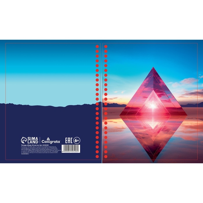 Тетрадь 96 листов в клетку, на гребне &laquo;Геометрические фигуры в природе&raquo;, белые листы, МИКС