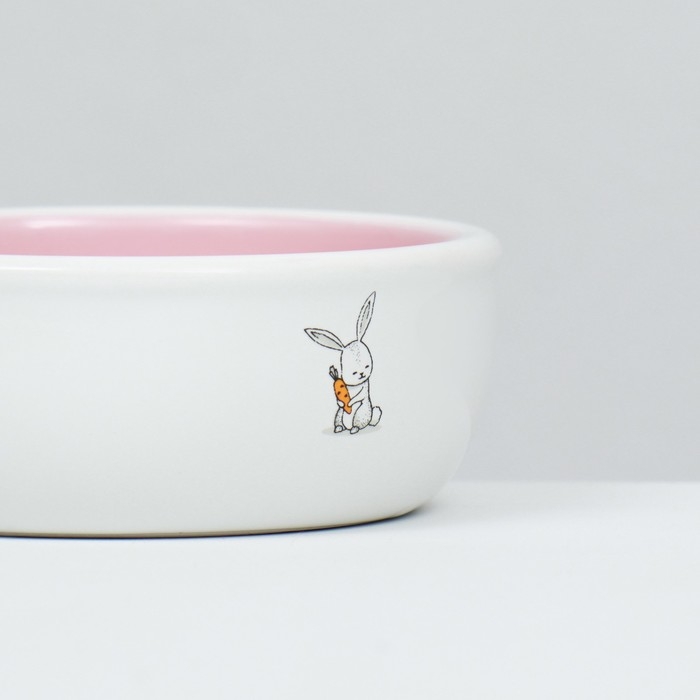 Миска керамическая для кроликов 200 мл  10 х 3,7 см, розовая/белая