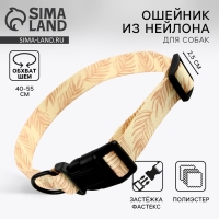 Ошейник Paradise life, застёжка - фастекс, 2.5 см, 40-55 см