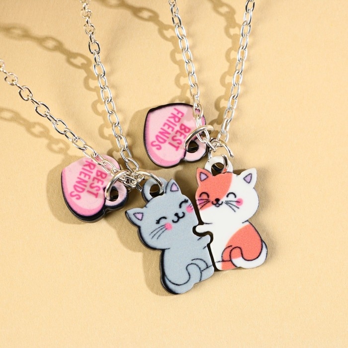 Кулоны парные подвески &laquo;Друзья навсегда&raquo;