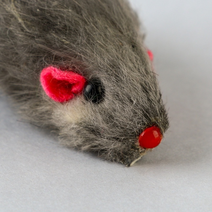 Игрушка для кошек лазер+мышь &laquo;Теперь котик ты&raquo;