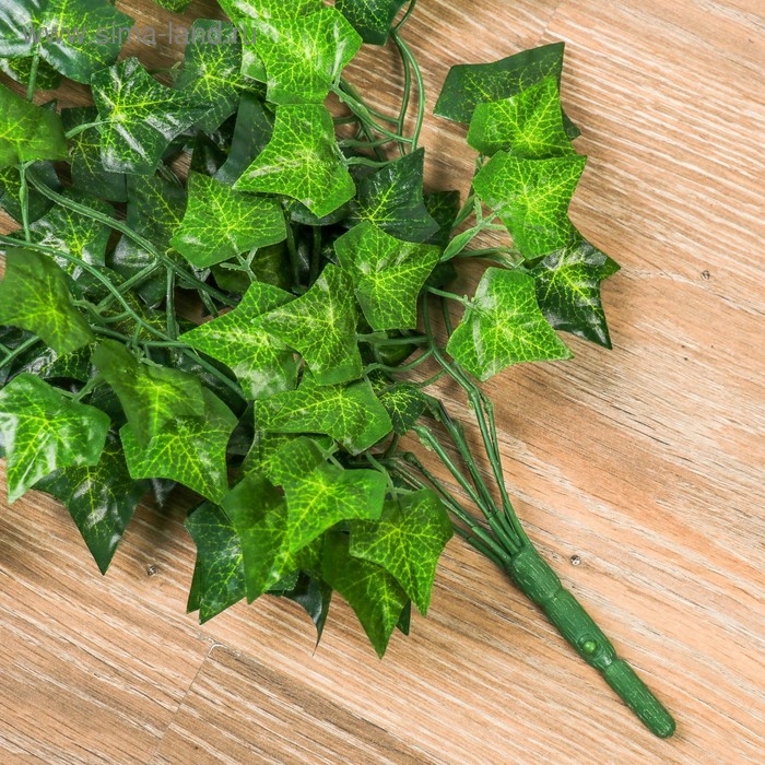 Лиана Лиана "Листья плюща" 80 см