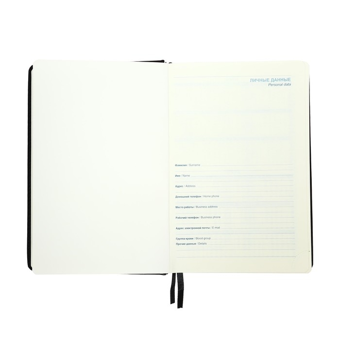 Ежедневник датированный 2025 года, A5, 168 листов в линейку, кожзам "Небраска", золотой срез, черный