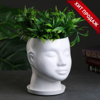 Горшок - органайзер "Голова" белое, 3л/ 21х19см Горшок - органайзер "Голова" белое, 3л/ 21х19см