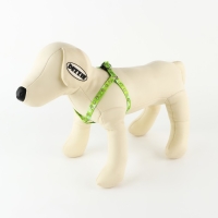 Комплект &laquo;Авокадо&raquo;, шлейка 24-36 см, поводок 120х1 см