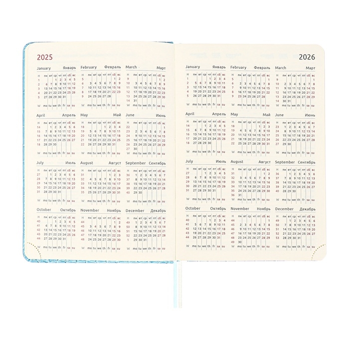 Ежедневник датированный 2025 года A5, 168 листов, deVENTE. Barbara, твердая обложка кожзам с поролоном, перфорацией, ляссе, блок 70, голубой