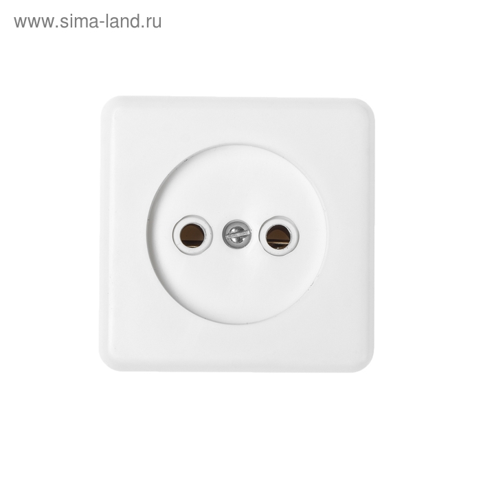 Розетка "Элект" РА 16-019, 16 А, 250 В, одноместная, открытая, с монтажной панелью, белая