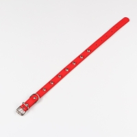 Ошейник с затупленными шипами, 45 х 2 см, микс цветов Ошейник с затупленными шипами, 45 х 2 см, микс цветов