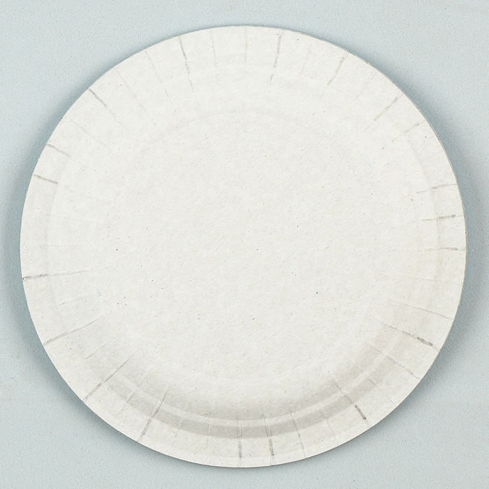 Набор бумажных тарелок, Три Богатыря, d=18 см, набор 6 шт.