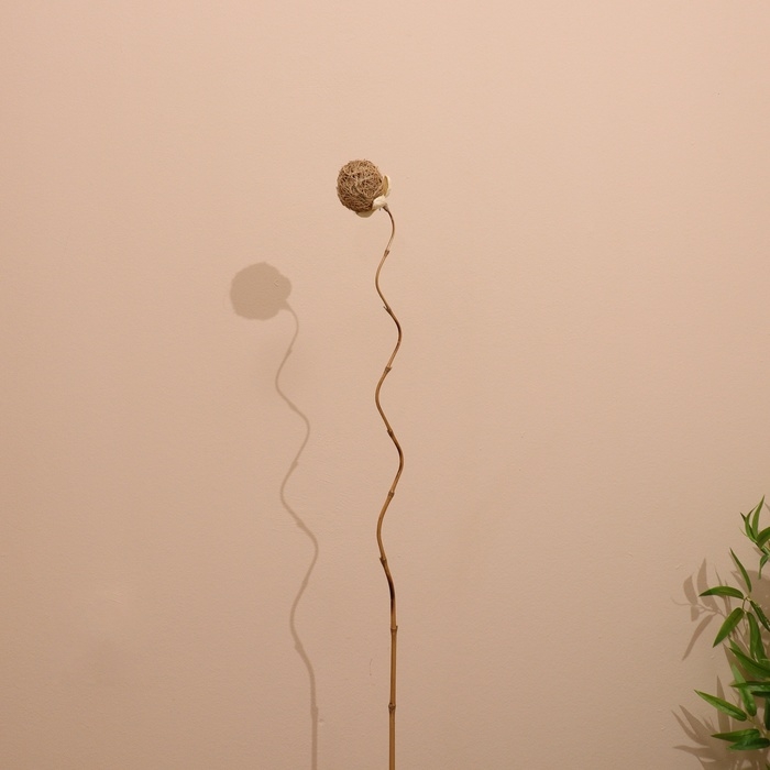 Сухоцвет 150 см натуральный Сухоцвет 150 см натуральный