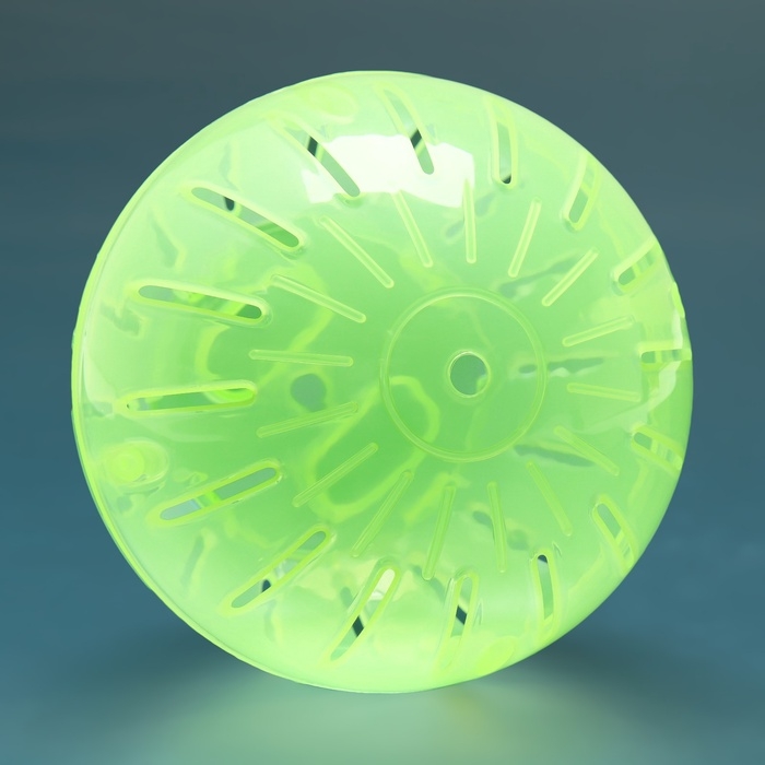 Шар для грызунов 12 см, зелёный