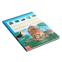 Детская энциклопедия в твёрдом переплёте &laquo;Животные&raquo;, 48 стр.