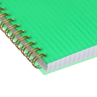 Тетрадь на гребне A5 96 листов в клетку Calligrata Зелёная, пластиковая обложка, блок офсет Тетрадь на гребне A5 96 листов в клетку Calligrata Зелёная, пластиковая обложка, блок офсет