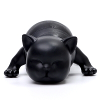 Развивающая игрушка &laquo;Чёрный кот&raquo;