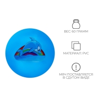 Мяч детский ZABIAKA &laquo;Дельфинчик&raquo;, d=22 см