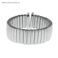 Ремешок для часов "Соломон", 22 мм, металл, l-20 см, серебро Ремешок для часов "Соломон", 22 мм, металл, l-20 см, серебро