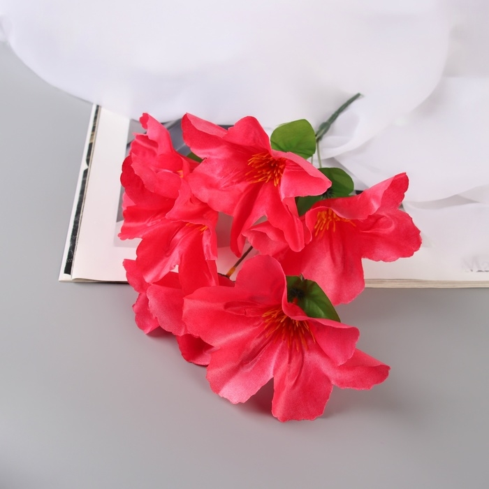 Букет Букет "Адениум экстра галант" d-14 см 30 см, микс