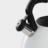 Чайник со свистком из нержавеющей стали Доляна &laquo;Лиса&raquo;, 3 л, с индикатором нагрева